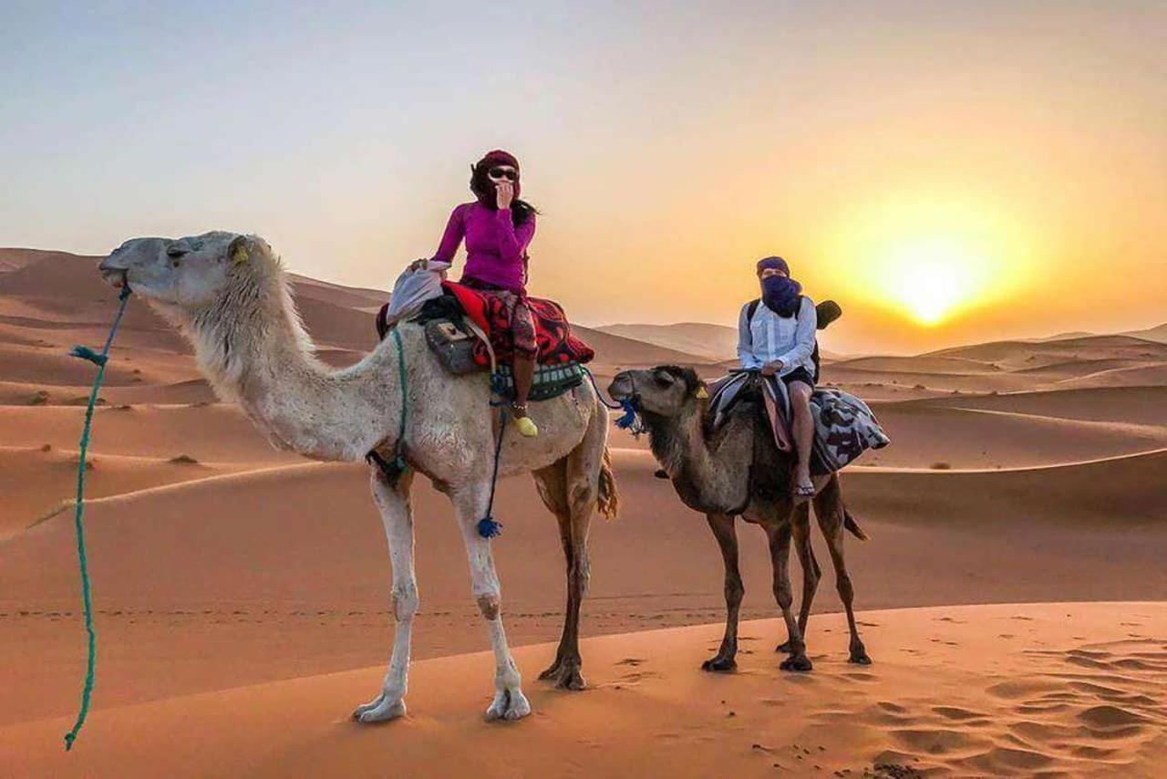 Camp Sahara Dunes Hotel M'Hamid Buitenkant foto